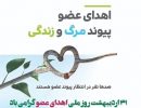 article